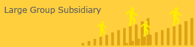 Large Group Subsidairy